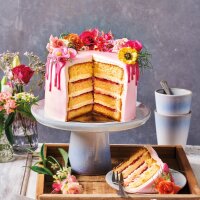 FunCakes Mix für Biskuit Deluxe 1 kg